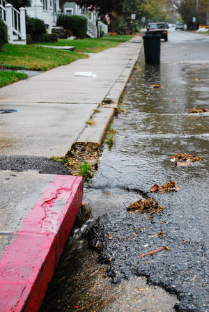 water running into a stormwater drain on a street