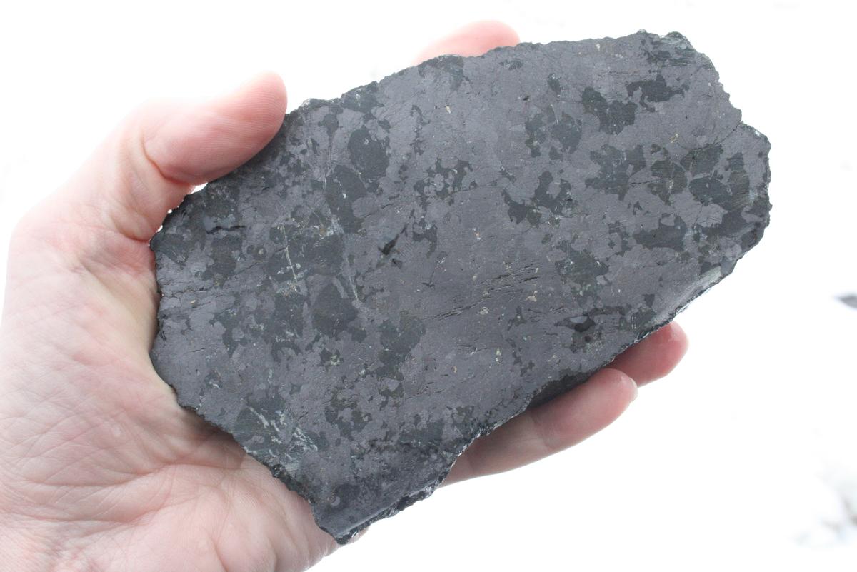 A hand is holding a larger-than-fist-sized grey, polished rock.